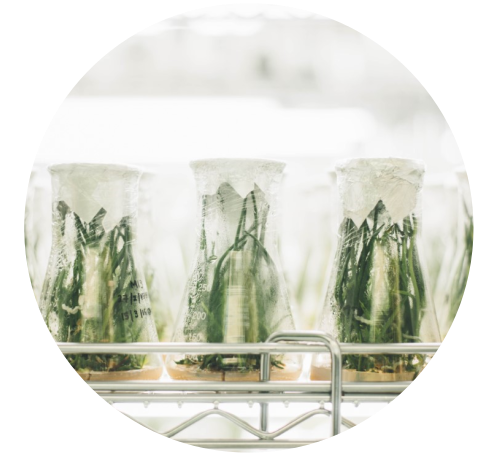 Deo krystaly vysušují pokožku