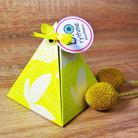 Malý dárek (2 kusy) - krém Citronová meduňka + balzám na rty