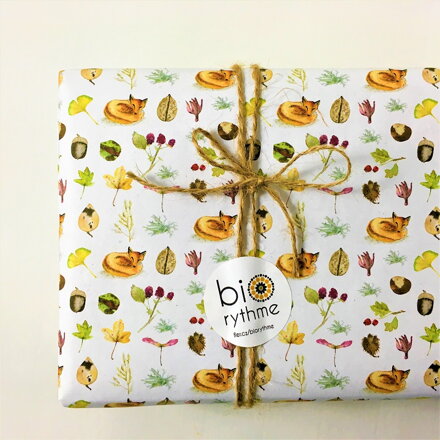 Velký dárek (4 kusy) - lišky v lese