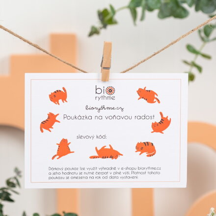 Dárková poukázka "Kocouři převlečení za lišky" - různé hodnoty