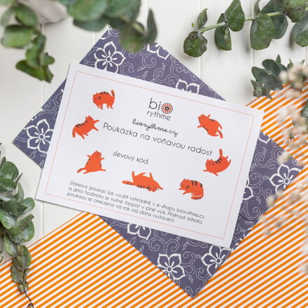 Dárková poukázka "Kocouři převlečení za lišky" - různé hodnoty